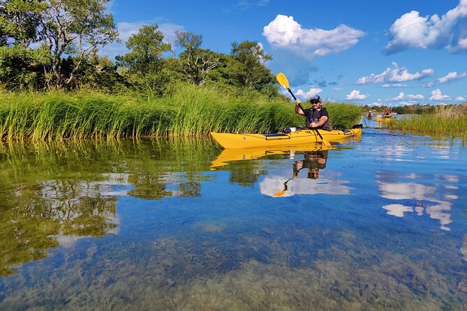 1-Day Small-Group Stockholm Archipelago Kayak Tour - Campfire lunch on a deserted island: the break that makes the trip