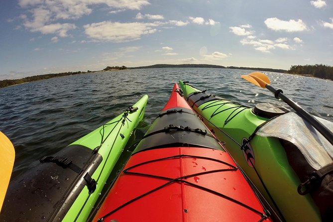 1-Day Small-Group Stockholm Archipelago Kayak Tour - Wind, waves, and the real workout factor (read this before you book)