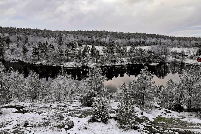 1-Day Small-Group Stockholm Nature Hiking - Meet True Nature Sweden and Get Moving From Tideliusgatan