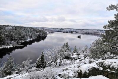 1-Day Small-Group Stockholm Nature Hiking