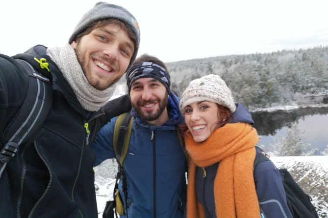 1-Day Small-Group Stockholm Nature Hiking - Frozen Lake Moments and Why Footwear Matters in Winter
