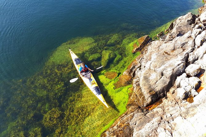 3-Day Stockholm Archipelago Kayaking and Camping Tour - What the wildlife stops are really like on these shores