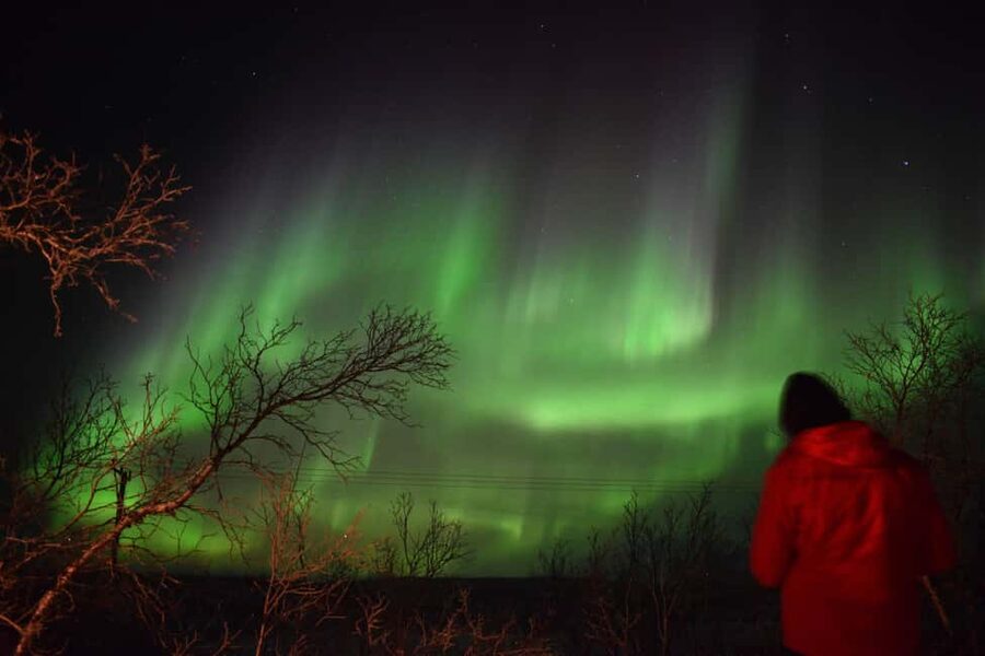 Abisko Arctic Ecology and Northern Lights Tour - Why this Abisko northern lights tour feels different