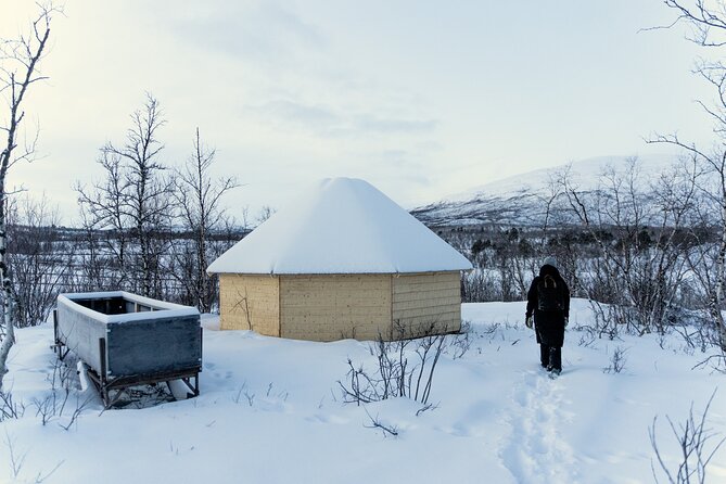 Abisko Arctic Reindeer Experience and Sami culture - Stop 1 in Abisko, feeding reindeer the right way