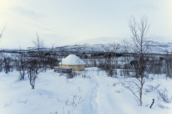 Abisko Arctic Reindeer Experience and Sami culture - The short commute and the snowmobile-sled option