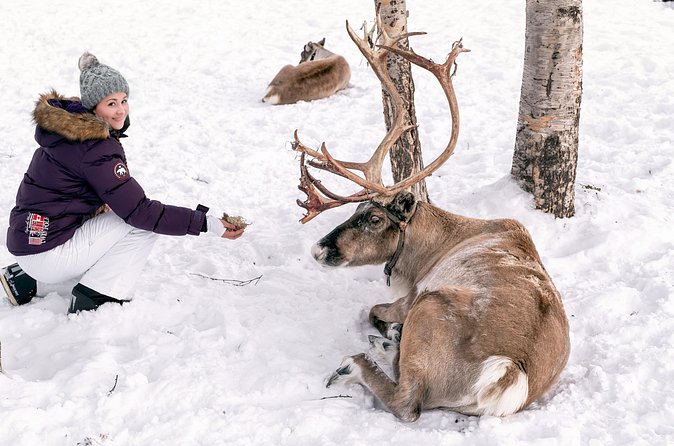 Abisko Arctic Reindeer Experience and Sami culture - Timing and group size, how the 2 hours actually feels