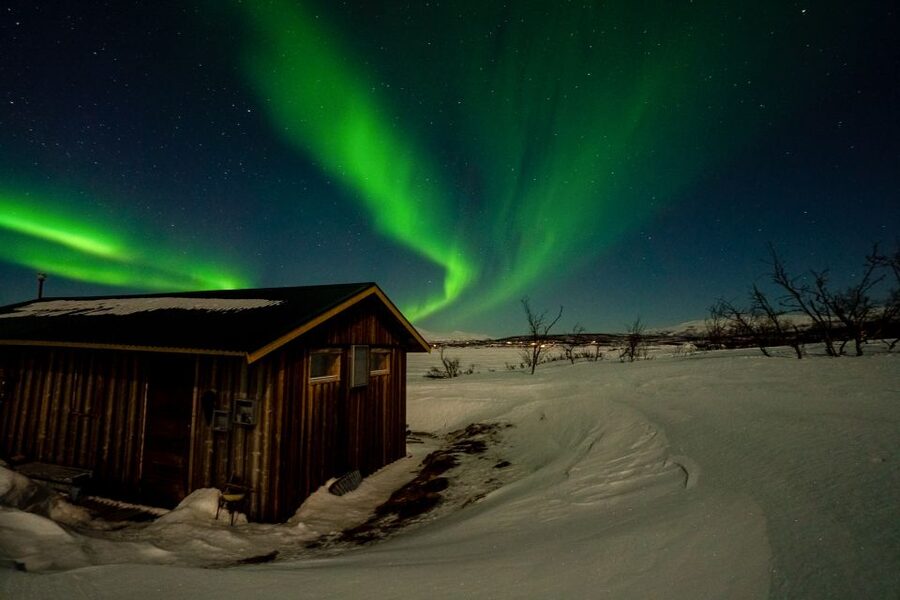 Abisko: Aurora Snowshoeing - Key highlights worth planning around