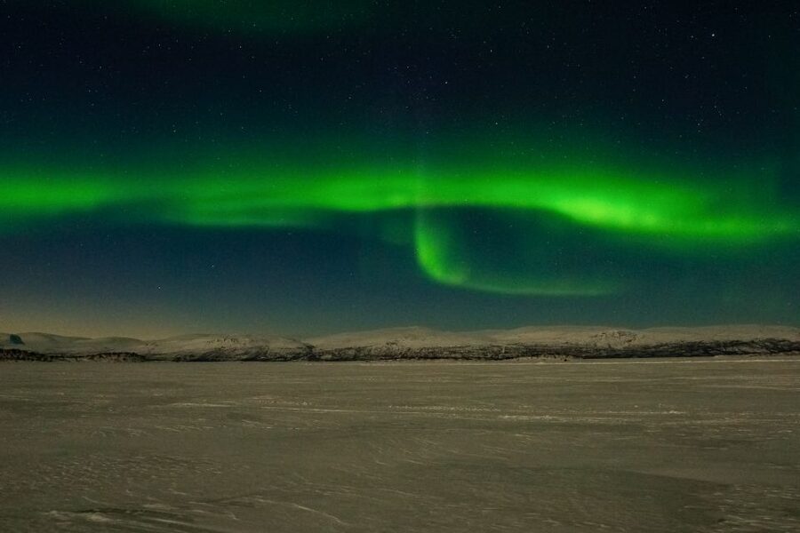 Abisko: Aurora Snowshoeing - Walking with moonlight in Abisko’s birch forest