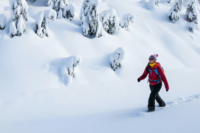 Abisko Daytime Photo Hike Snowshoe Adventure Tour - Key takeaways before you book