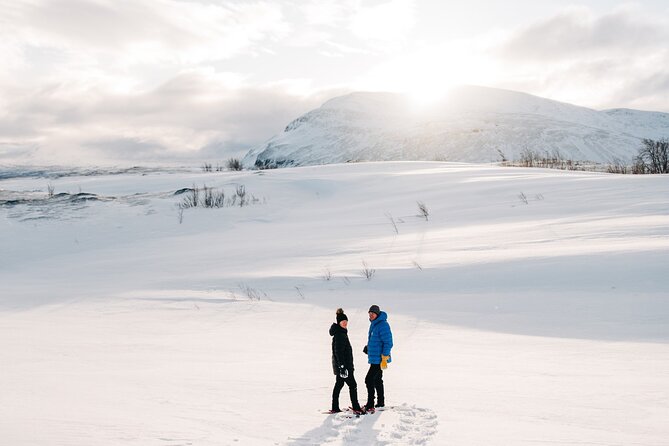 Abisko Daytime Photo Hike Snowshoe Adventure Tour - The Abisko stop and the pacing you should expect