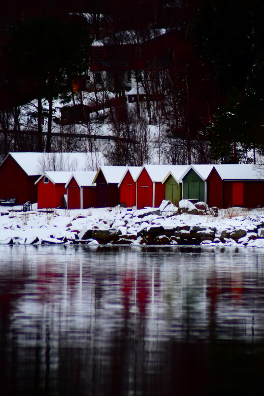 Abisko: Fjord Sightseeing and Photography Tour - The Narvik or Bjerkvik lunch stop: use the hour to reset