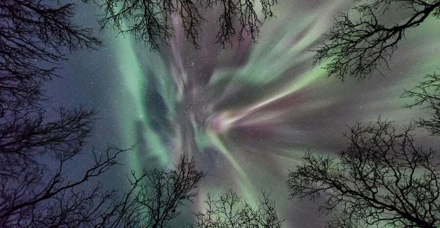 Abisko: Guided Autumn Aurora Chase with Hotel Transfers - Price and Value for a 3.5 Hour Aurora Chase