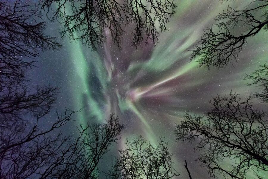 Abisko: Guided Autumn Aurora Chase with Hotel Transfers - Choosing the Spot: Up to 90 km Around Abisko National Park