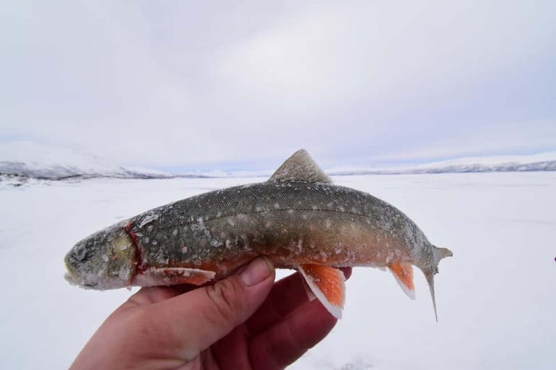 Abisko: Ice Fishing Experience - Included Comfort vs. What You Must Bring