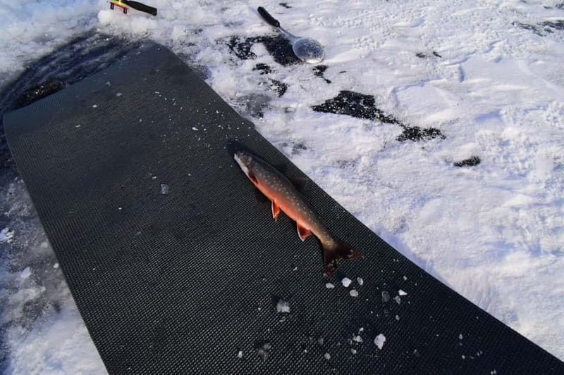 Abisko: Ice Fishing Experience - Fishing License: The One Admin Step That Matters