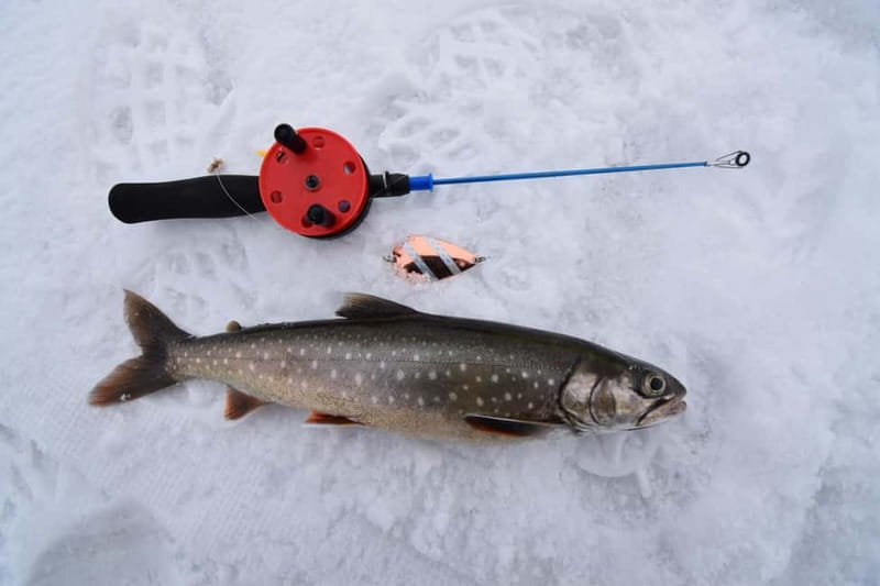 Abisko: Ice Fishing Experience - What Happens After You Catch Fish (Keeping It for Food)
