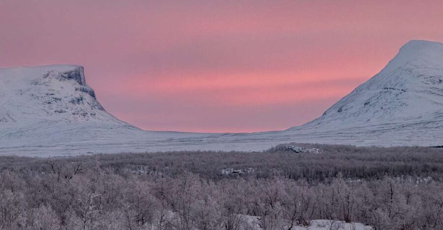 Abisko National Park: Scenic Morning Hike with Transfer - Walking into Abisko National Park before the day warms up