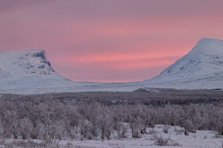 Abisko National Park: Scenic Morning Hike with Transfer - Price, group size, and what $88 really covers