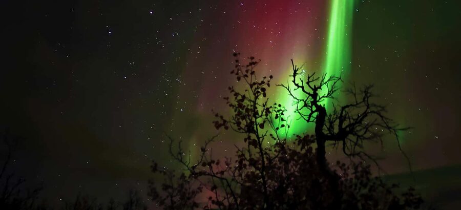 Abisko: Northern Lights Hike with Husky Puppies - Stopping at the Sámi-Style Tipi: Hot Drinks and Arctic Stories
