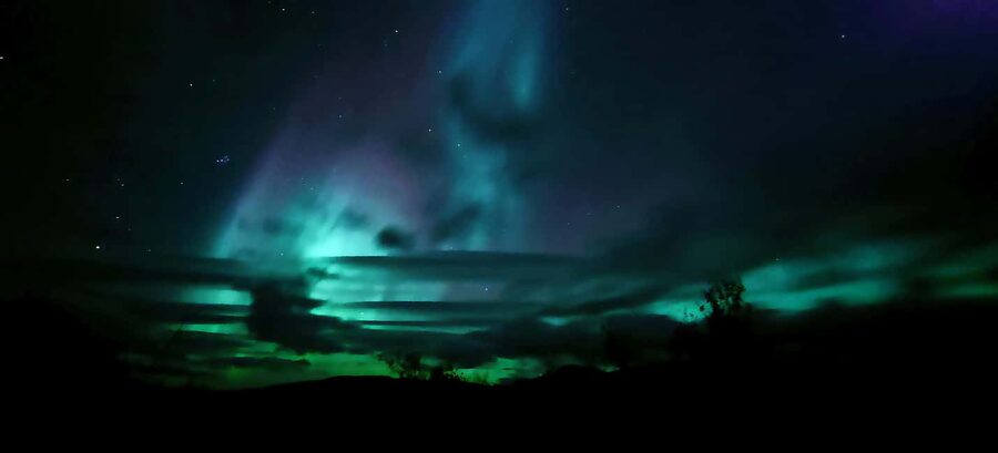 Abisko: Northern Lights Hike with Husky Puppies - Why the Puppies Are More Than a Cute Add-On