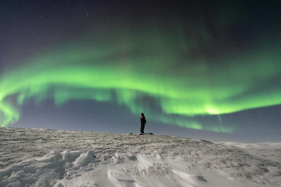 Abisko: Northern Lights Photography Tour with Dinner - Cold-weather reality: what to bring, and how to not ruin your night