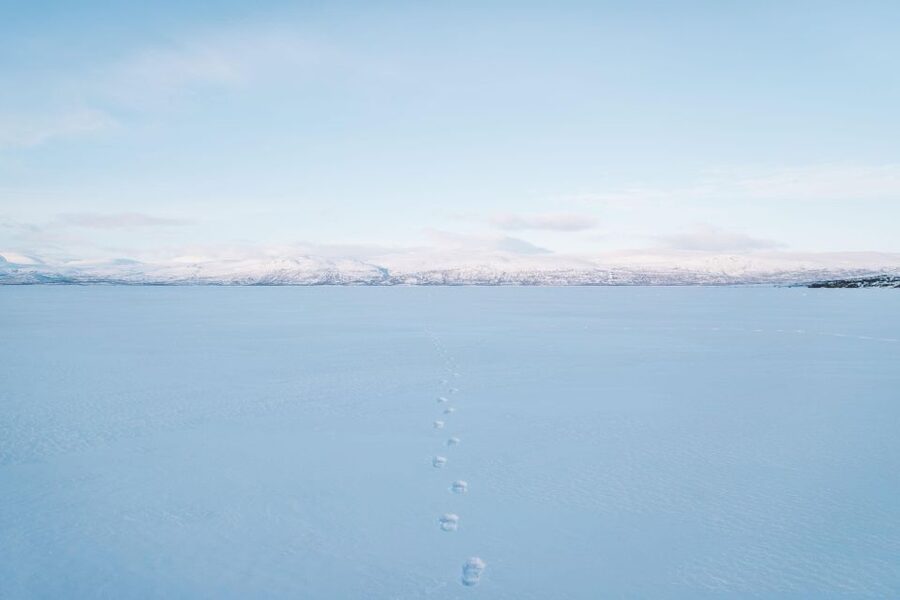 Abisko: Snowmobile Sled Expedition with Snack and Hot Drink - Price and Value: Why $94 Can Be Fair, or Not