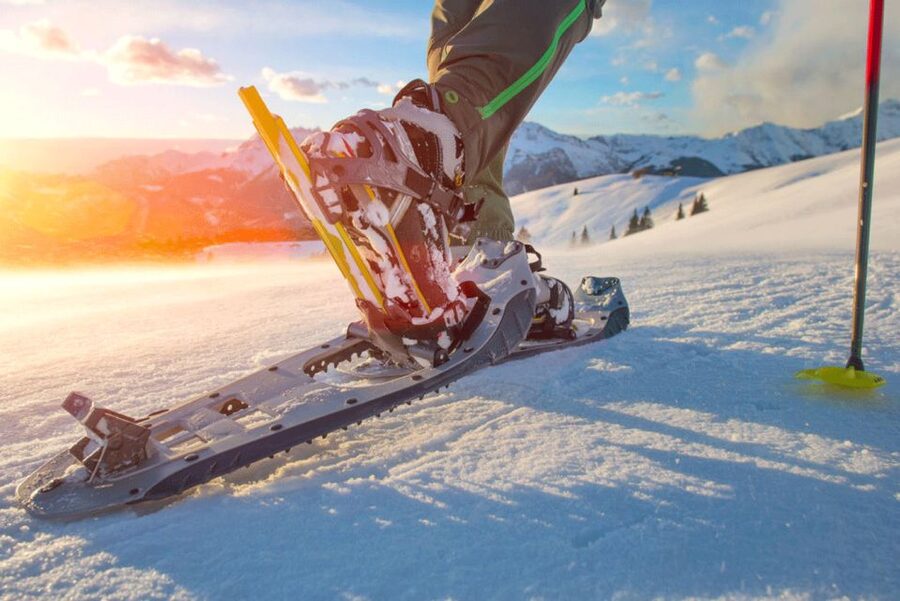 Abisko: Wilderness Snowshoe Hike - Key highlights that make this hike worth planning for