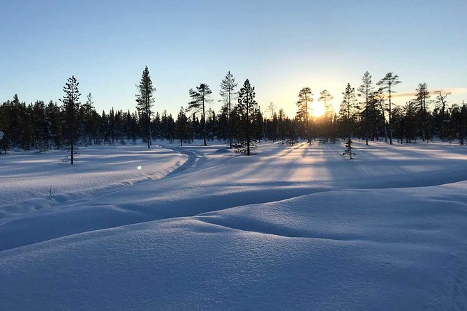 Afternoon Snowmobile Tour - From Torggatan 4 to the Forest Start: The Tour Flow