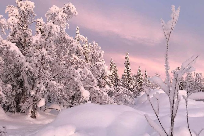 Afternoon Snowmobile Tour - Frozen Torne River Runs, Lakes, and Winding Forest Tracks