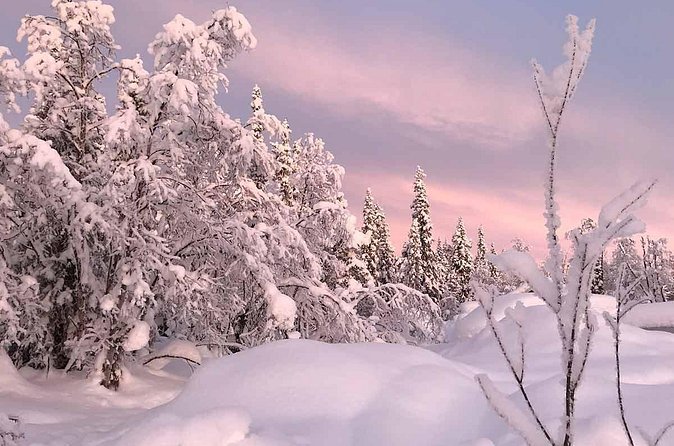 Afternoon Snowmobile Tour - Four-Stroke Power: What You Feel During the Ride