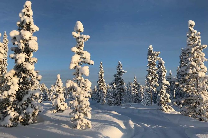 Afternoon Snowmobile Tour - Price and Value: Is $178.32 Worth It?