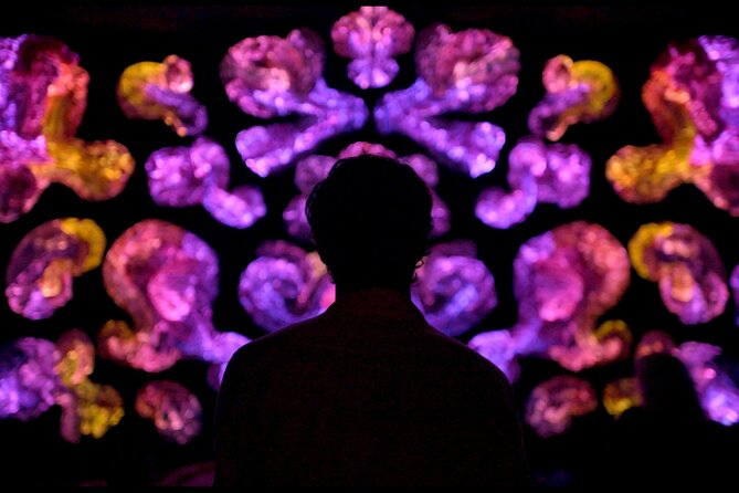 Andetag Immersive Art Experience - Key takeaways before you go