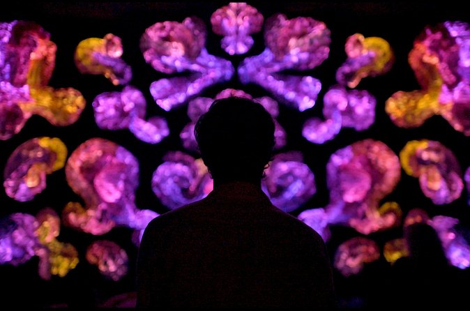 Andetag Immersive Art Experience - Practical tips to get the most from the hour