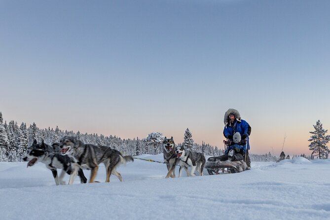 Arctic Afternoon Eco Experience (14:00-17:00- driving the sled) - Price and Value: What $334.56 Buys You Here