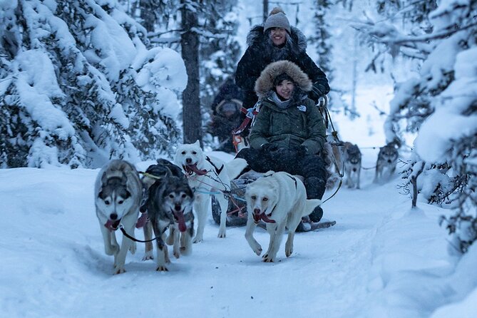 Arctic Afternoon Eco Experience (14:00-17:00- driving the sled) - Driving the Sled: What You’ll Actually Do on the Trail