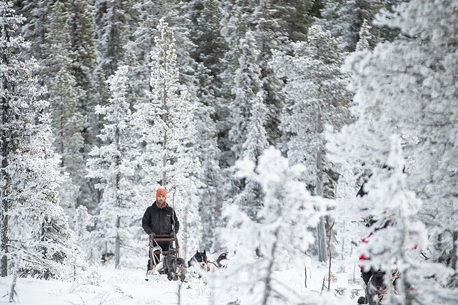 Arctic Afternoon Eco Experience (14:00-17:00- driving the sled) - Warm-Up Hut and Dog Pen Stories: The Part People Remember