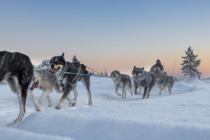 Arctic Afternoon Eco Experience (14:00-17:00- driving the sled) - What to Wear: The Cold-Weather Tips That Keep Your Fun Intact