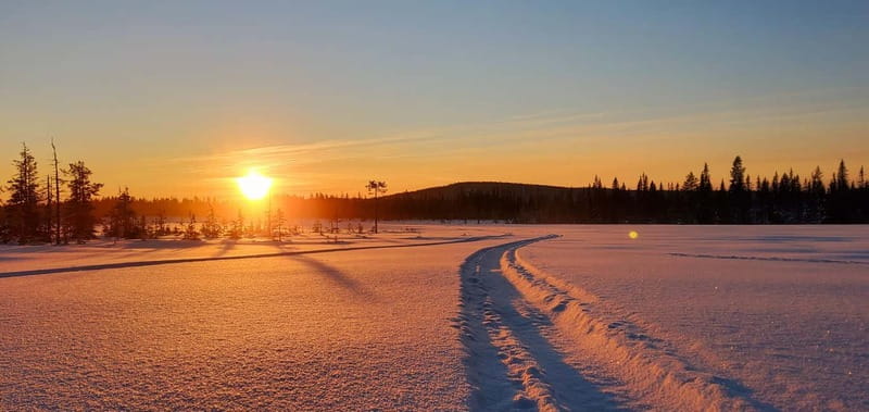 Arvidsjaur: 2-hour snowmobile tour in Swedish Lapland - Who This Snowmobile Tour Fits, And Who Should Skip It