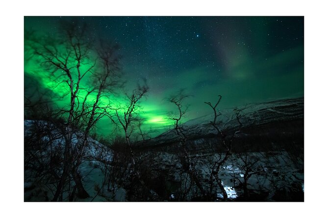 Aurora Borealis Tour in Kiruna - Lapland with Stejk Street Food - Aurora hunting around Kiruna: how guides respond when conditions change