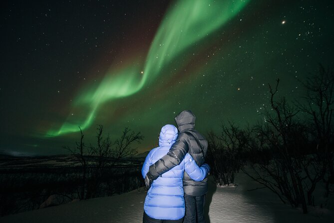 Aurora Car Chasing Tour with Photographer - Key things that make this tour worth your attention