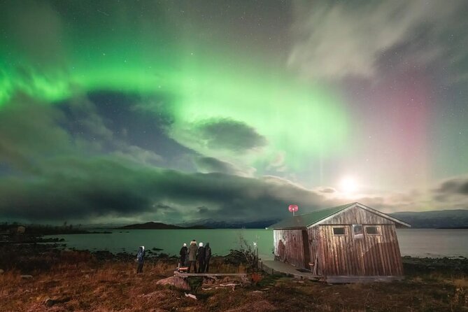 Aurora Car Chasing Tour with Photographer - Abisko Aurora Night: what 3 hours feels like
