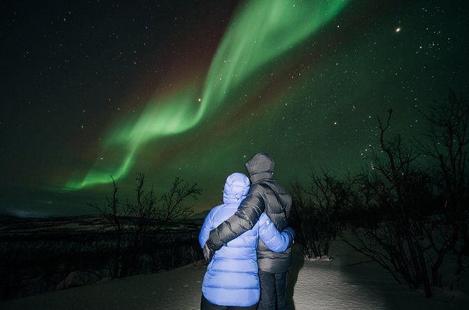 Aurora Car Chasing Tour with Photographer - Pickup and small-group pace: easier than it sounds