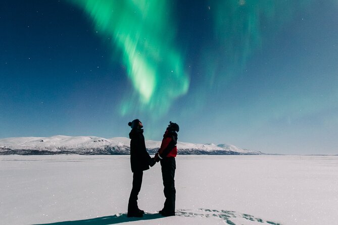 Aurora Car Chasing Tour with Photographer - Price and value: why $158.21 can make sense