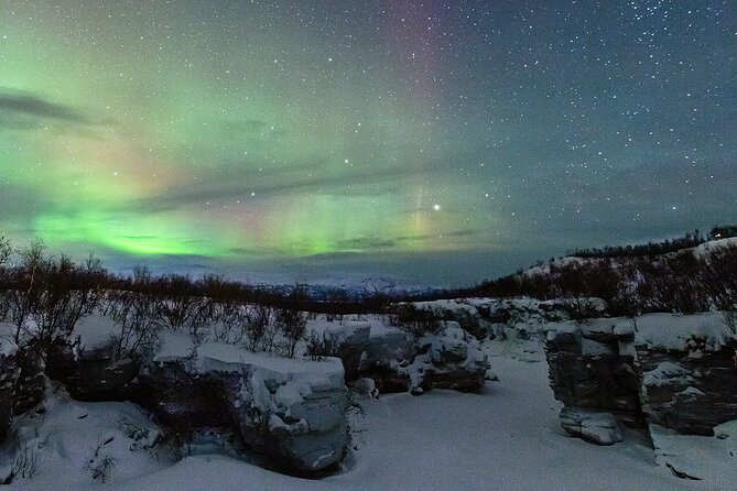 Aurora Tour with Dinner in Abisko - Key highlights to know before you go