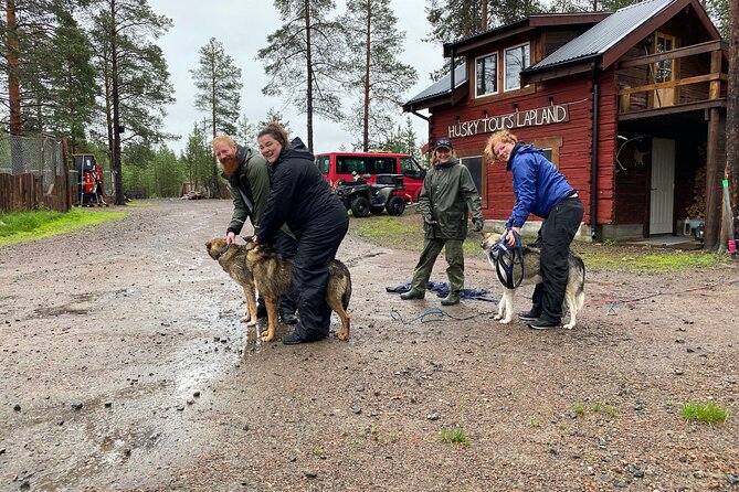 Autumn Husky Sit and Drive Cart Tour from Kiruna - Key Things I’d Plan For