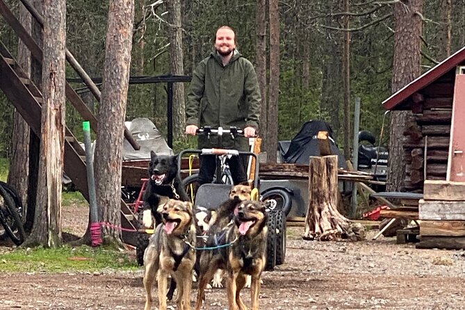 Autumn Husky Sit and Drive Cart Tour from Kiruna - Where You Start: Husky Tours Lapland and the 10:00 am Flow