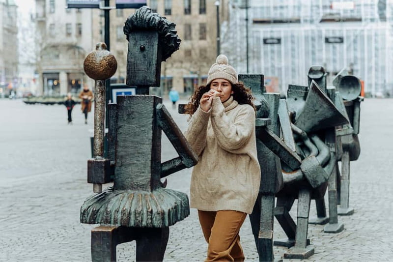 Copenhagen: Malmö Private Highlights Trip with Lunch Option - Price and logistics: is $147 a good deal for a private Malmö highlights day?