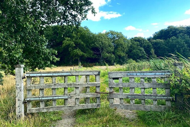 Daytrip Bike Tour on the Swedish Countryside Private - Starting at Malmö Central Station, With the Route Set for You