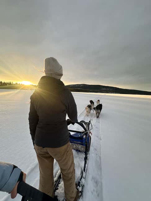 Dog sled tour with overnight stay in central Sweden/Härjedalen - Price and value: why $276 can make sense here