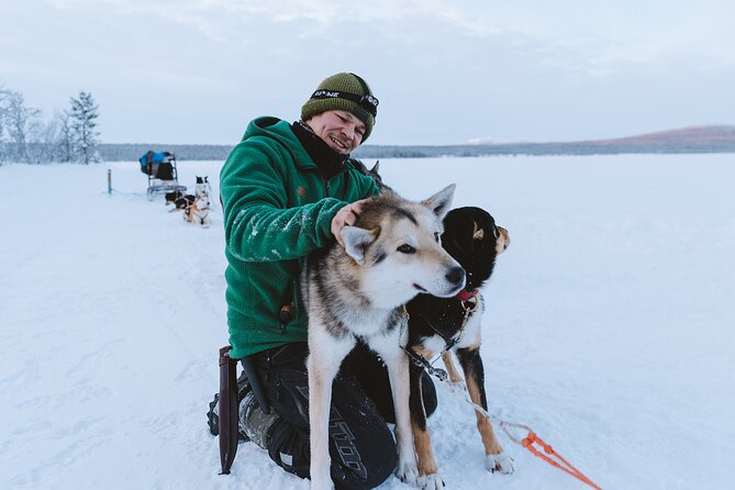 Dog sledding excursion to Kiruna - Price and Value: What $286.95 Really Buys You